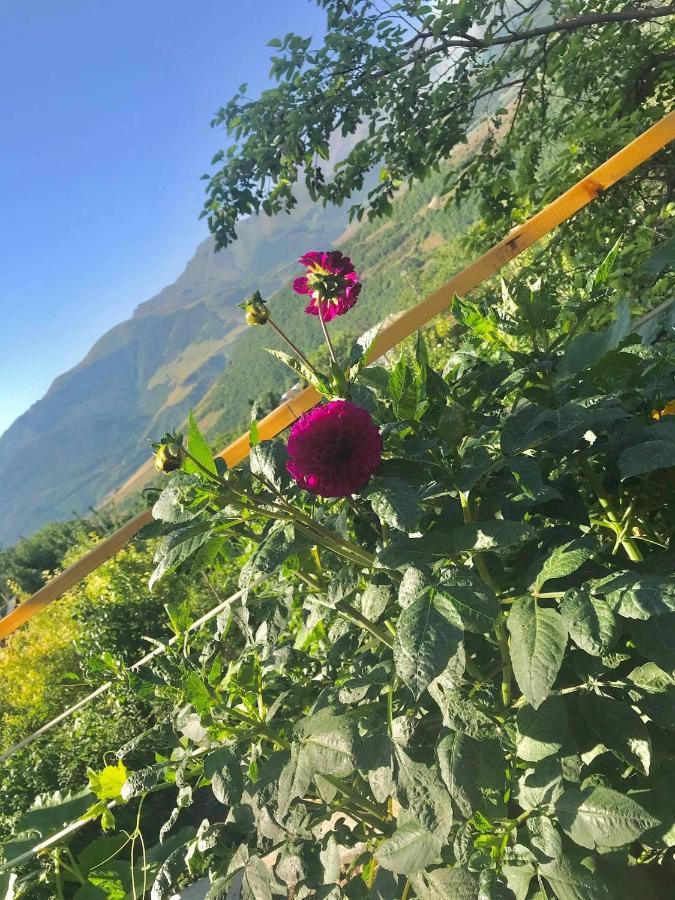 Bed and Breakfast Ana-Maria Bnb Tatev Exterior foto
