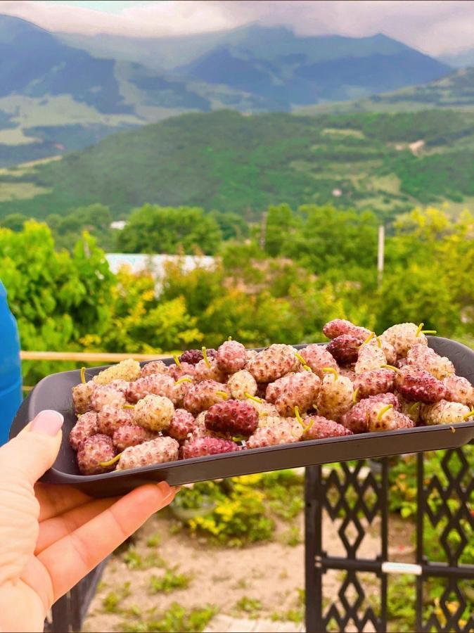 Bed and Breakfast Ana-Maria Bnb Tatev Exterior foto
