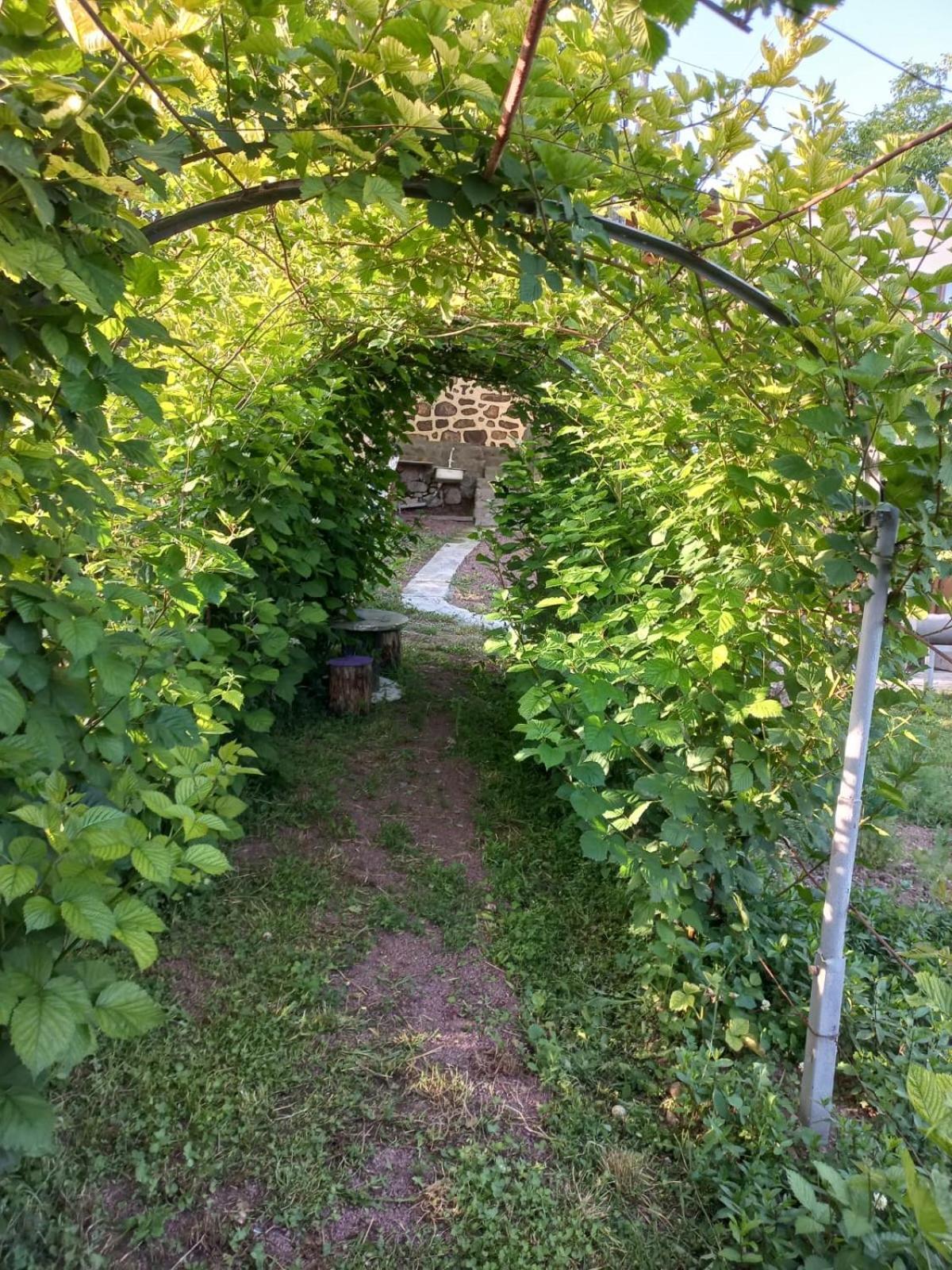 Bed and Breakfast Ana-Maria Bnb Tatev Exterior foto